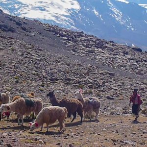 Ausangate Peru
